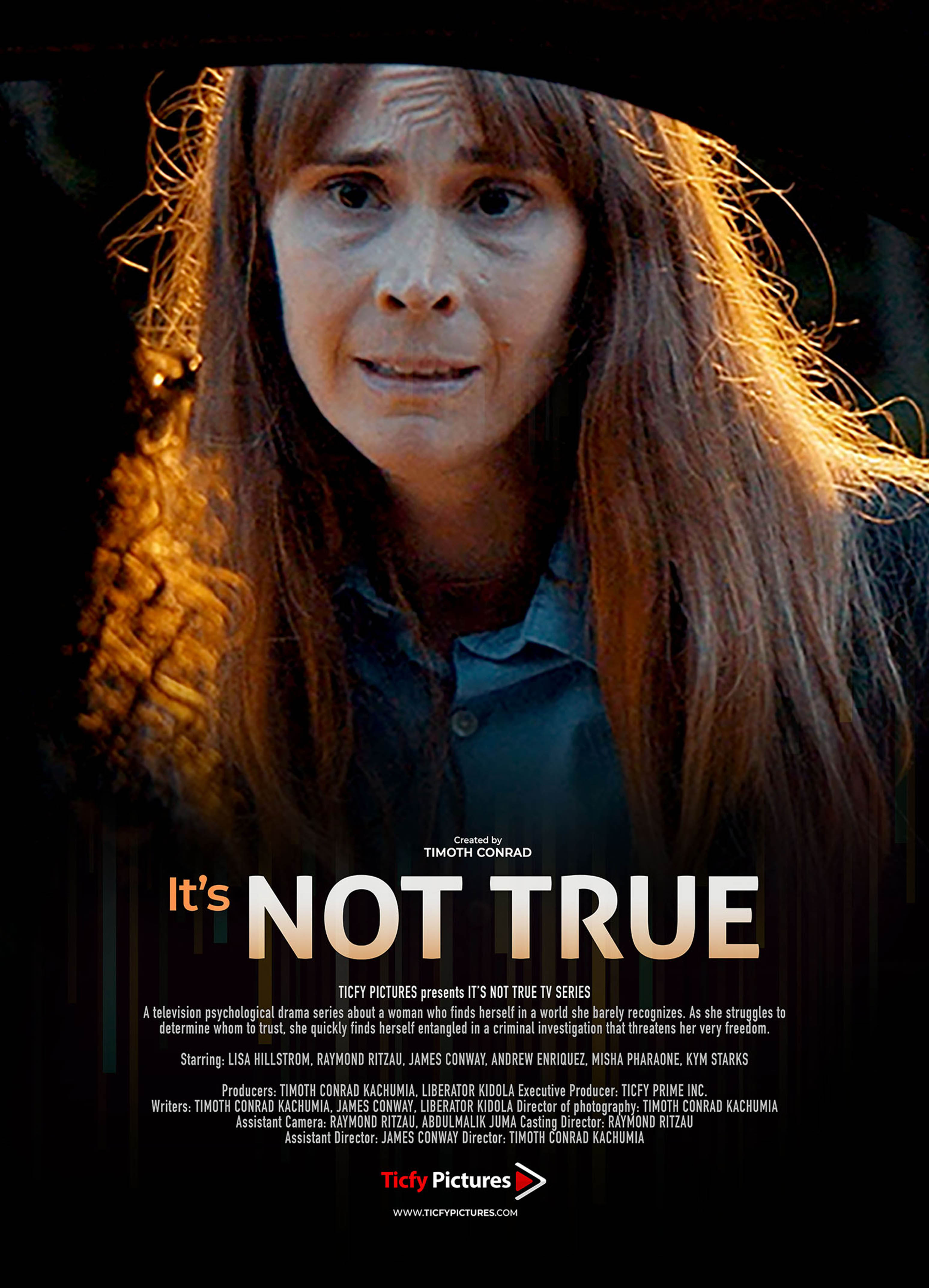 It's Not True Poster